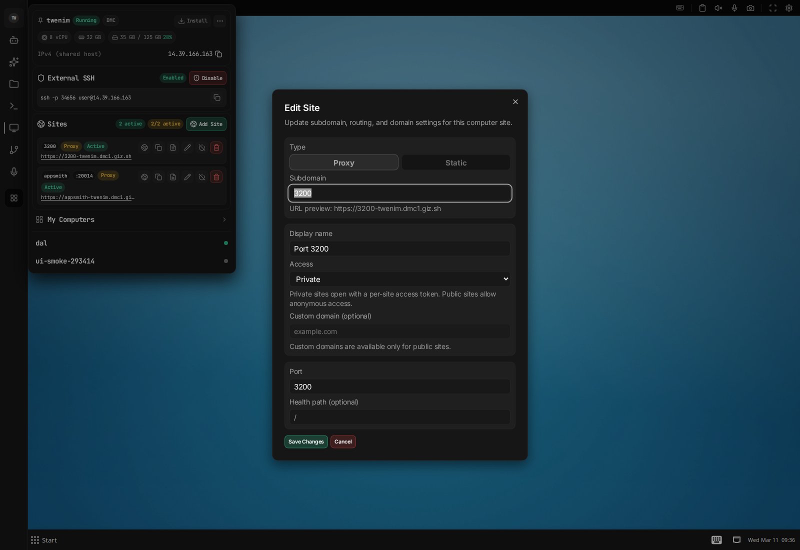 Publishing is configurable down to access mode, routing type, and custom domain.
