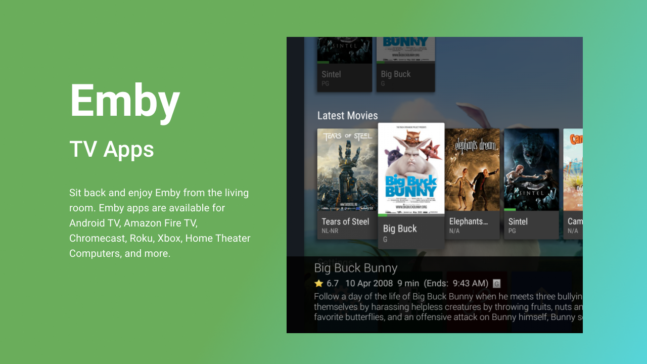 Emby(Nvidia GPU) screenshot