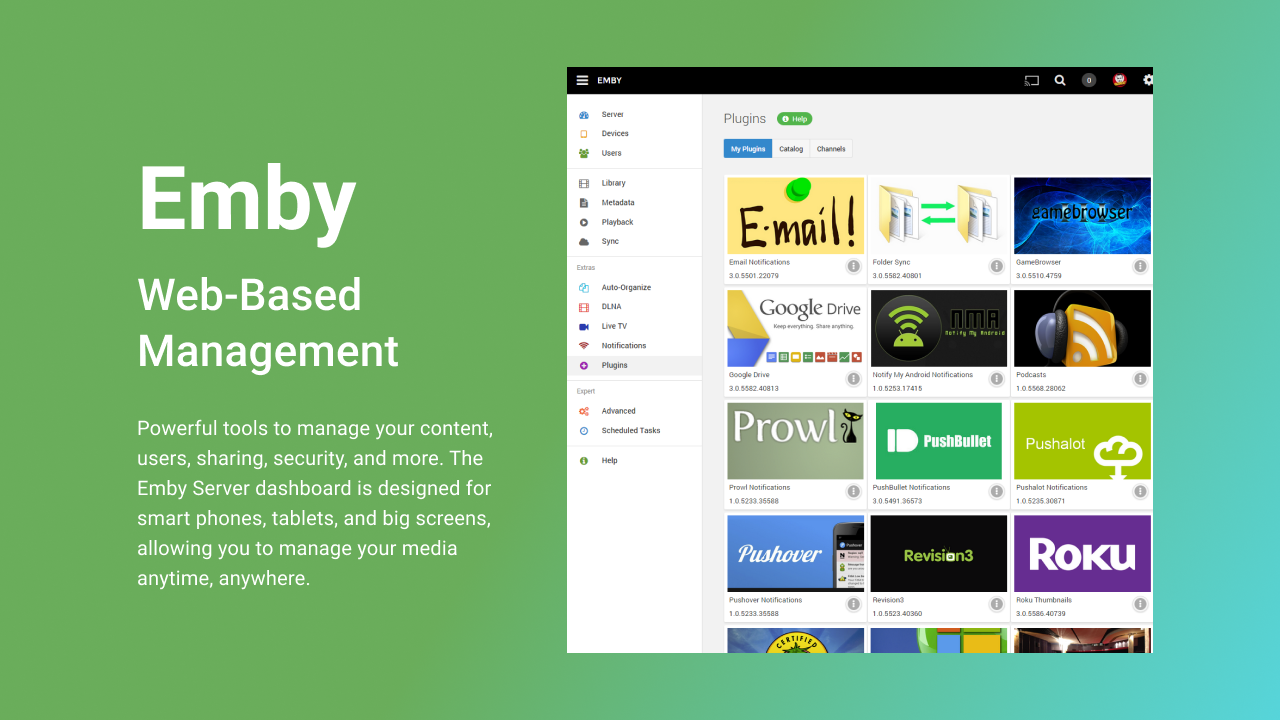 Emby(Nvidia GPU) screenshot